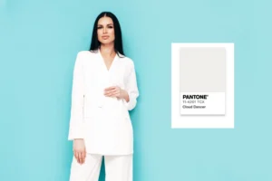 cloud dancer pantone 2026