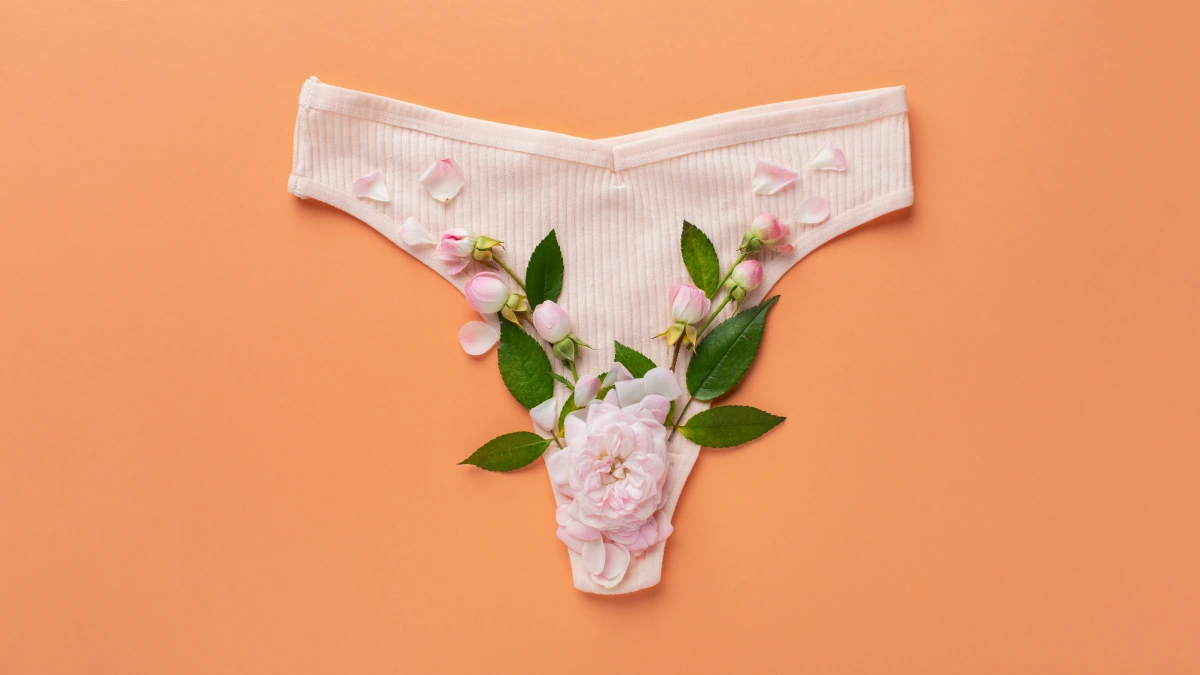 comment fonctionne une culotte menstruelle